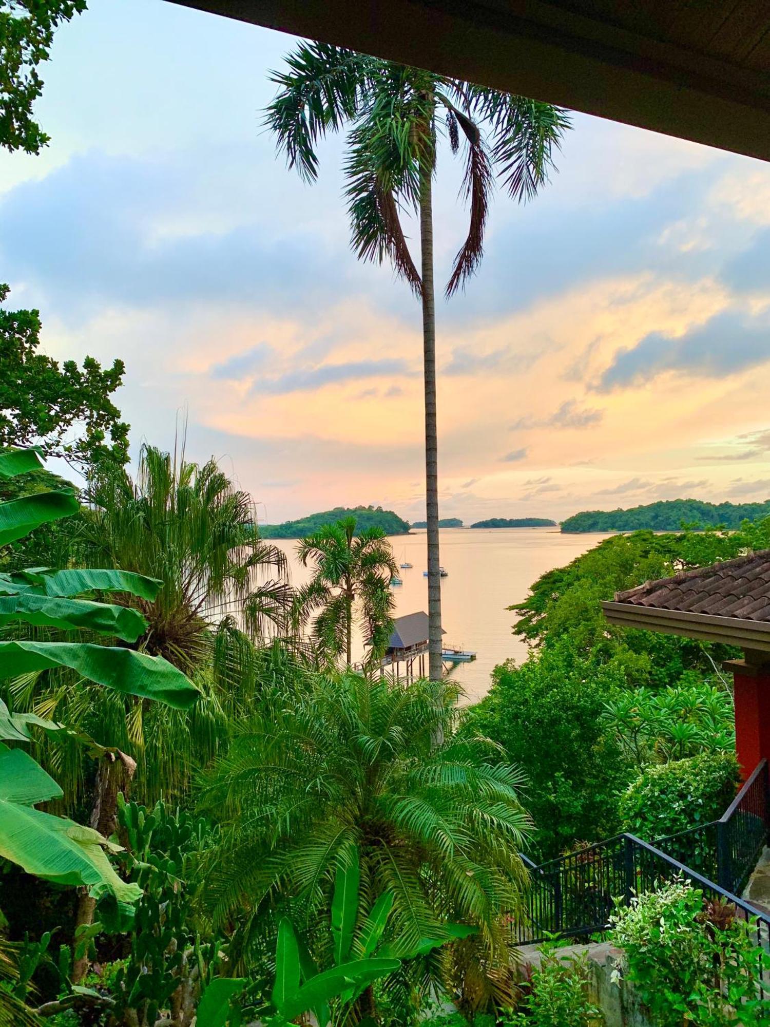 Seagull Cove Resort بوكاتشيكا المظهر الخارجي الصورة