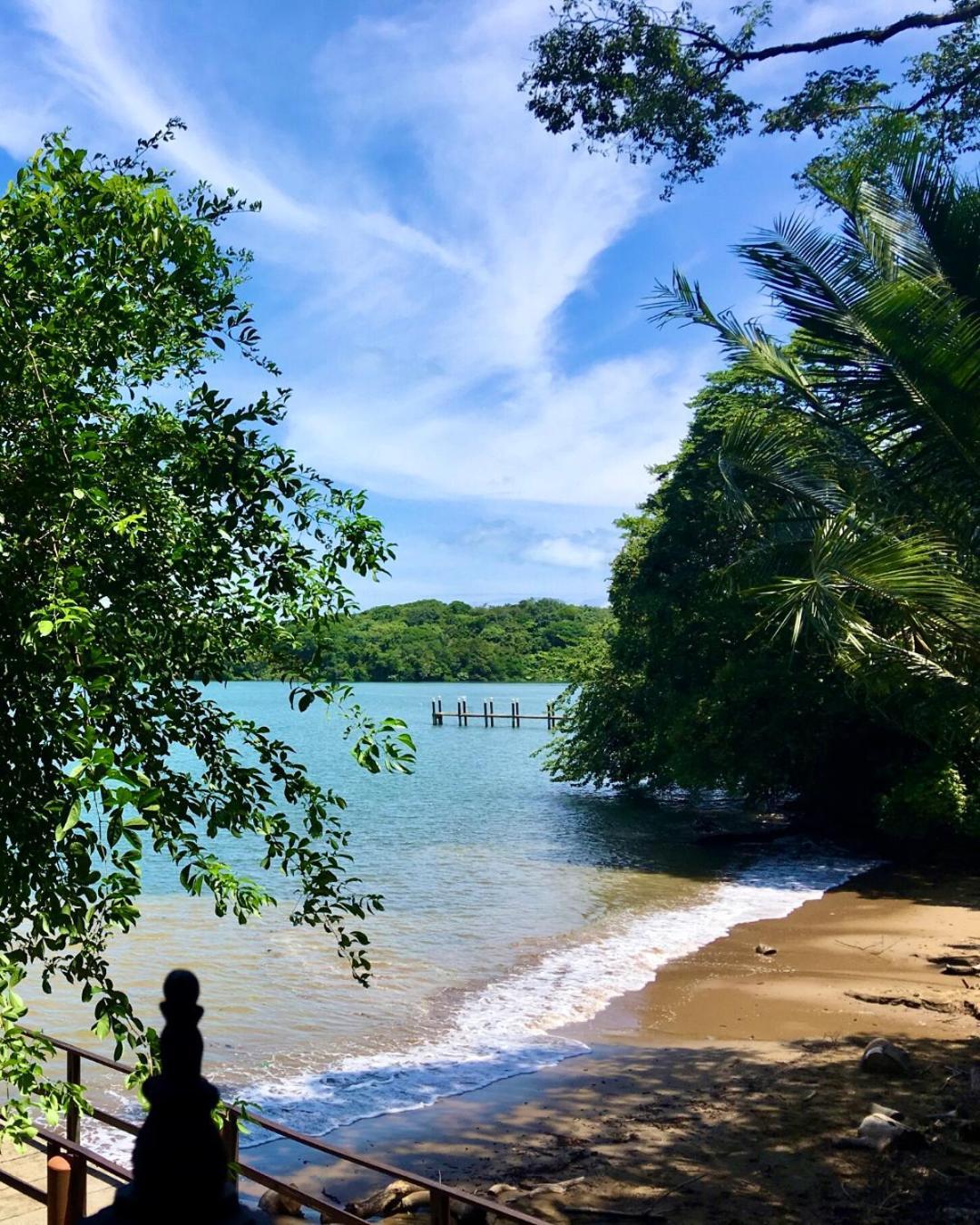 Seagull Cove Resort بوكاتشيكا المظهر الخارجي الصورة